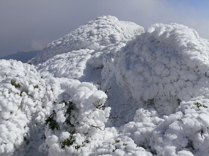 屋久島の雪山
