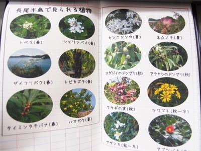 レベルブックに長尾半島の植物図鑑を添付