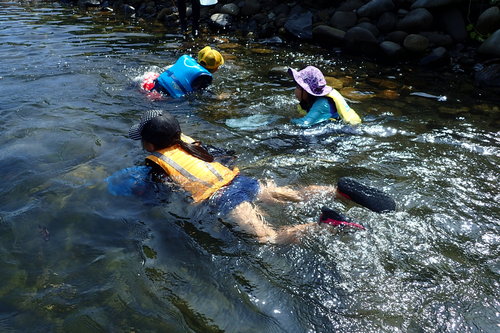川で泳ぐ子どもの様子