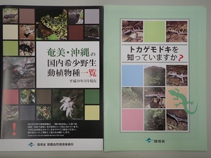 ケラマトカゲモドキを知っていますか？奄美・沖縄の国内希少野生動植物種一覧パンフレット