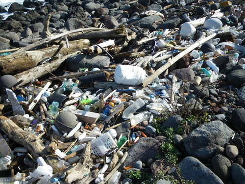 海岸に打ち上がったゴミ