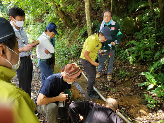 Participants paying attention to the side of a forest road during a patrol.