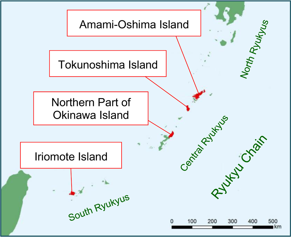 Map of the four areas nominated for World Natural Heritage. The nominated sites are a part of the Ryukyu Islands, which are scattered in an arc in the sea area between the southern tip of Kyushu and Taiwan, and consist of four islands: Amami Oshima and Tokunoshima in the Middle Ryukyu Islands, Okinawa Island, and Iriomote Island in the South Ryukyu Islands.