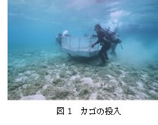 (図1)