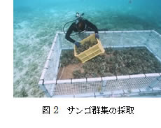 (図2)
