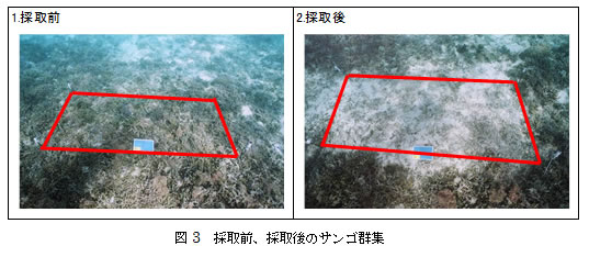 (図3)