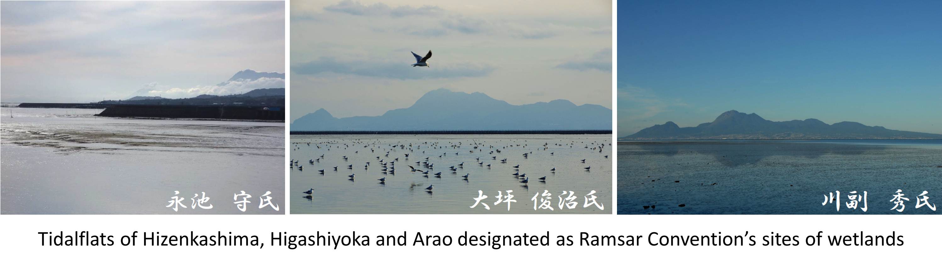 Tidalflats of Hizenkashima, Higashiyoka and Arao designated as Ramsar Convention's sites of wetlands