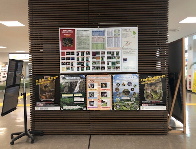 あまみ空港到着口に掲示されている、密猟、密輸防止を訴えるポスター等