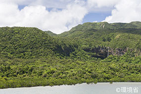 写真：西表じまのふなうら湾からの眺望。森林が広がっているほか、一部は崖になっており、滝が写っている。