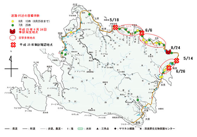 リオモテヤマネコの交通事故の発生箇所MAP