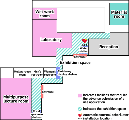 Schematic diagram of the facility. There are two square buildings, one large and one small, connected by a narrow corridor. When you enter through the entrance on the south side of the large building, you will find the reception on your right, the material room is further in the back, and the laboratory is on the left. The small building has an entrance on the east side, and you will find the multipurpose lecture room in the front, along with the multipurpose, men’s, and women’s restrooms (in that order) on the right. When you walk through the corridor in front of the multipurpose lecture room, you will find the exhibition space in the area leading up to the reception, where there are display shelves of coral specimens and taxidermy.