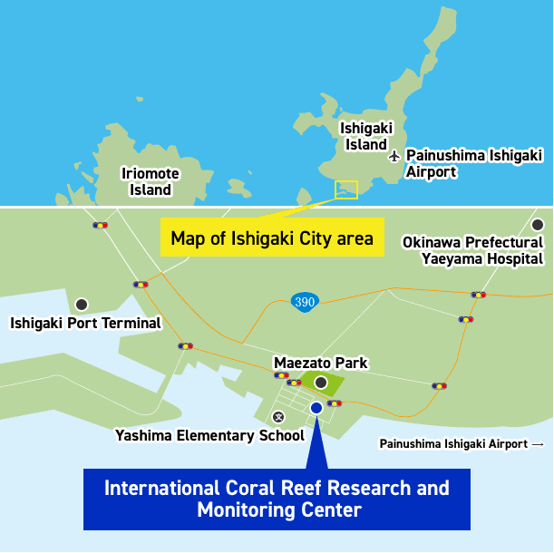 The image on the top depicts a map portraying the islands of Japan; Iriomote Island is to the west and Ishigaki Island to the east. The airport is located in the southeast part of Ishigaki Island. An enlarged map of the urban area in the southern part of Ishigaki Island is shown in the bottom image. When you travel south on Bypass Route 390 that continues from the airport, you will find the Okinawa Prefectural Yaeyama Hospital. If you travel ahead for three traffic lights, you will reach the end of the road; if you follow the road and turn left at the traffic light, you will arrive at the International Coral Reef Research and Monitoring Center. It is located in Yashima Town at the southern tip; the Yashima Elementary School is located nearby.
