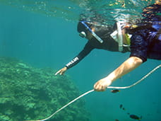 Public awareness activity: Children enjoying undersea observations by snorkeling.