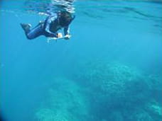 Survey by snorkeling. The diver is recording  underwater observations of corals.