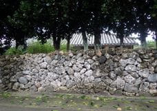 家のまわりを囲む沖縄でよく見られる石垣の材料はサンゴの骨格からできた琉球石灰岩です。