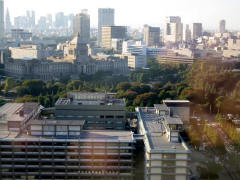 高層ビルから見た東京