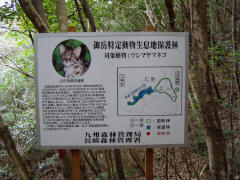 九州森林管理局のツシマヤマネコに関する看板