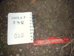 野外で発見されたヤマネコのフンの写真