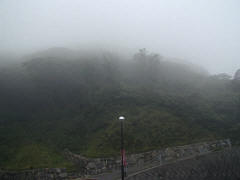 霧に覆われた棹崎公園の様子
