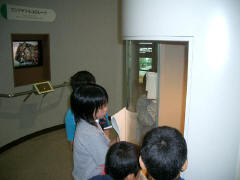 ヤマネコの剥製を観察している佐護小学校の子どもたち