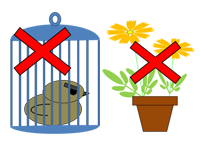 画像：飼育・栽培の禁止