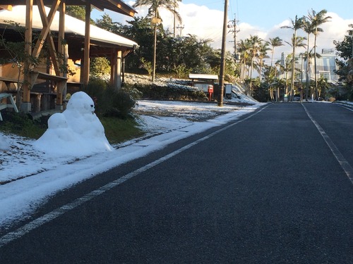 ヤシの木と雪だるま