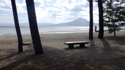 なぎさミュージアム前のベンチに腰かけて干潟と桜島をゆっくり眺めるほっと一息タイムもおすすめです。