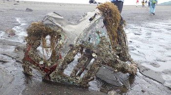 水上機の残骸にはフジツボや海藻がいっぱいくっついています。