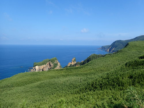 新村の風景