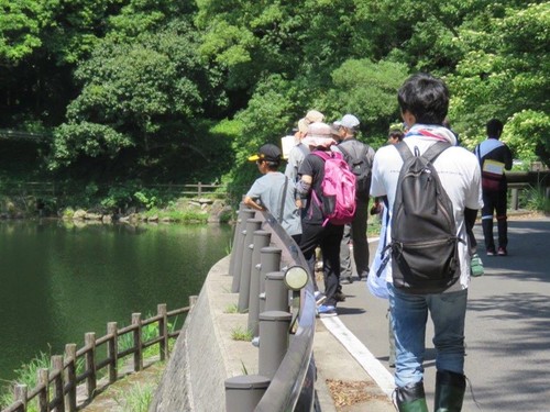 アクティブ・レンジャー日記 [九州地区]_出水