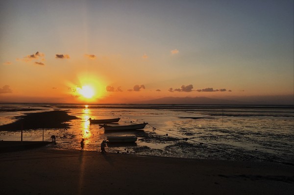 mela 湿地の干潟+吹きさらしの荒野 湿地の干潟/Marsh Flats》[MM3] 土地R | 日本最大級 MTG通販