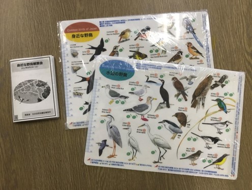 野鳥の宝庫・出水でバードウォッチングを始めよう！「身近な野鳥観察会