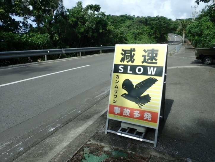 カンムリワシ交通事故防止移動式看板（島内８箇所に設置）の写真
