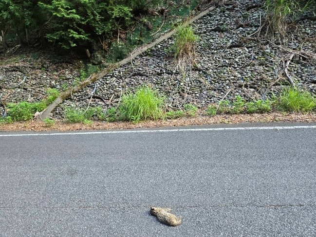 あ