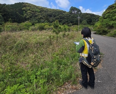 え