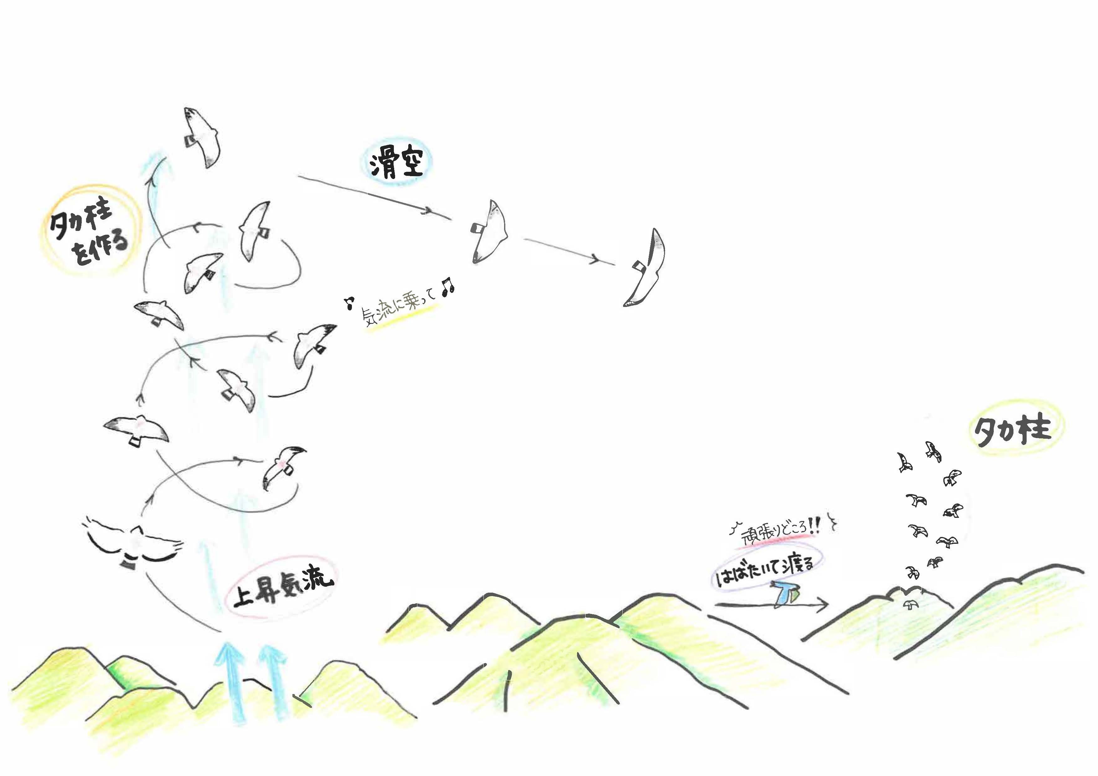 イラスト