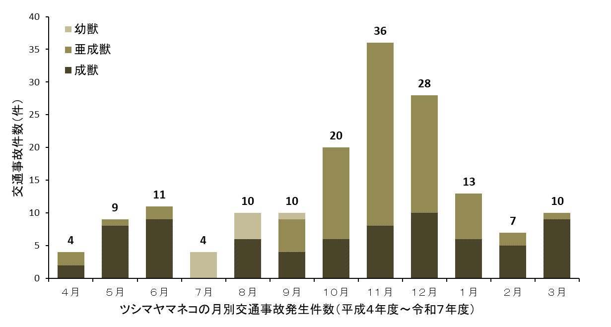 ツシマヤマネコの月別交通事故発生件数（平成４年度～令和７年度）