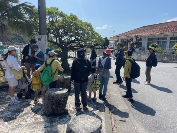 樹木を観察する人々