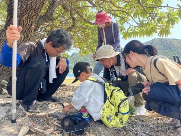 極小カタツムリの仲間を探しているところ