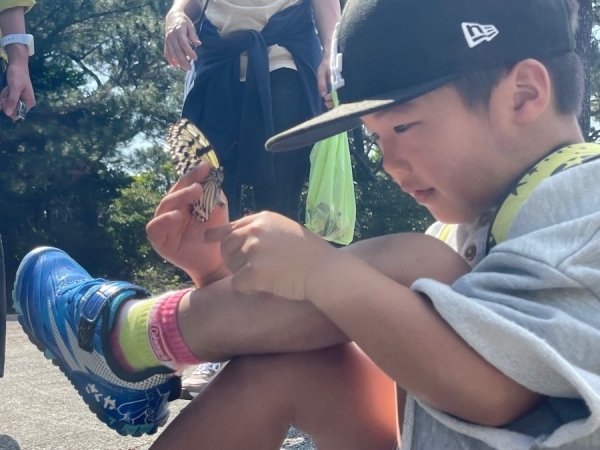 チョウを見る幼稚園児