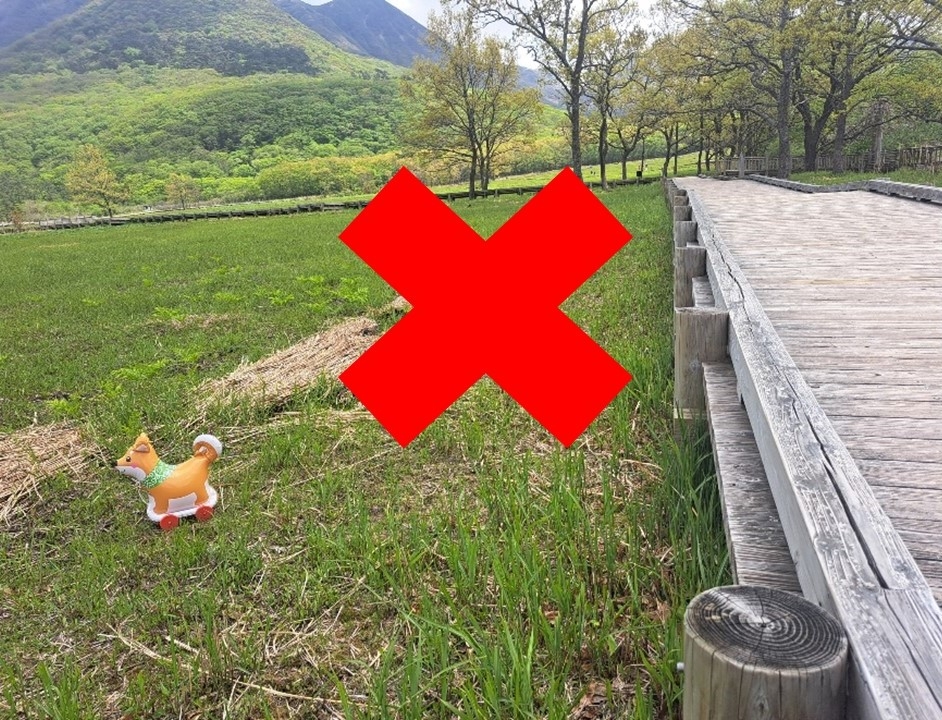 きんし