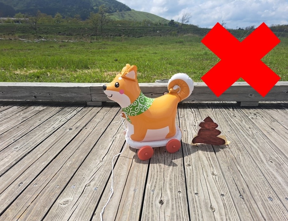 きんし