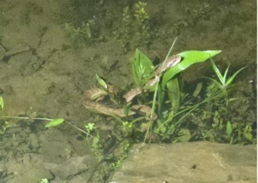 あ
