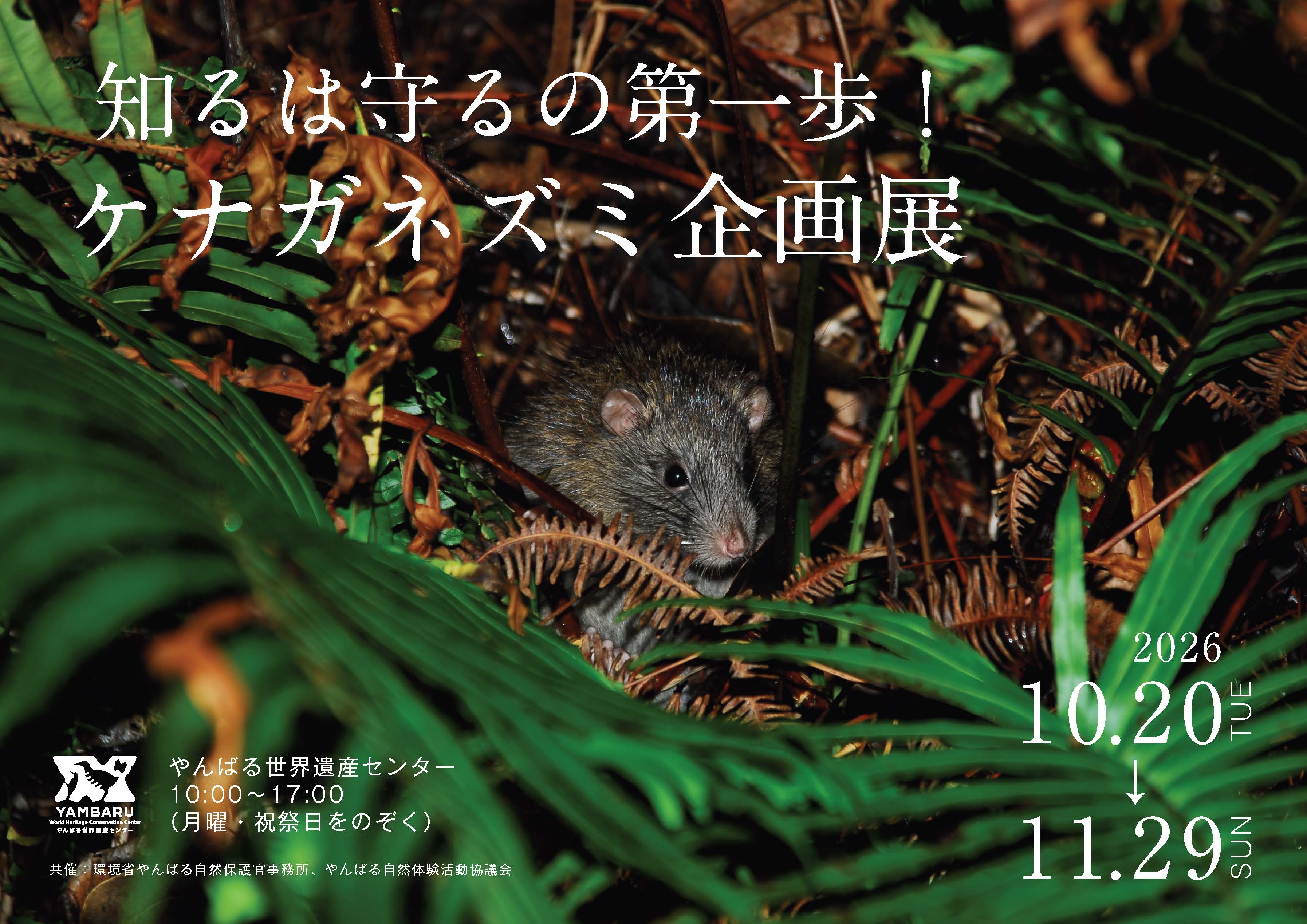 〇〇＃