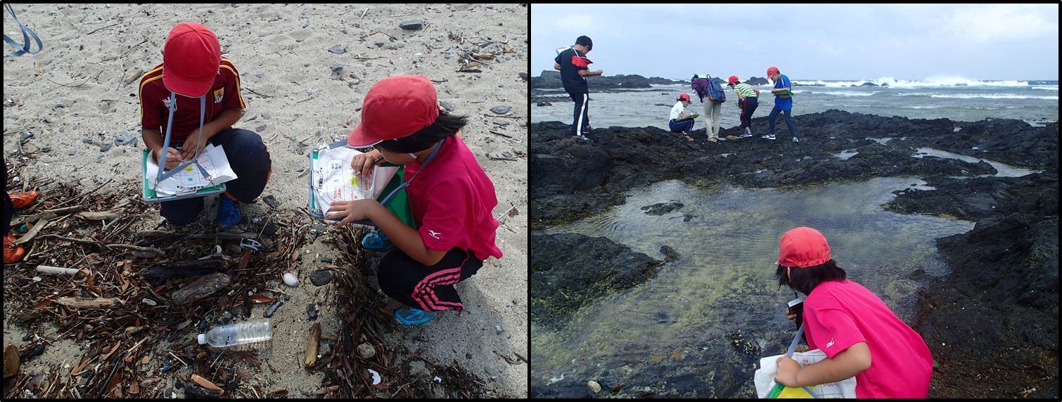 栗生海岸でビンゴゲームをしながら海岸の生き物などを探す児童の様子