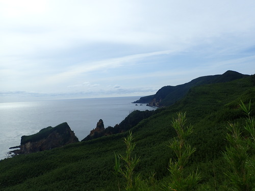 新村からの海食崖景観