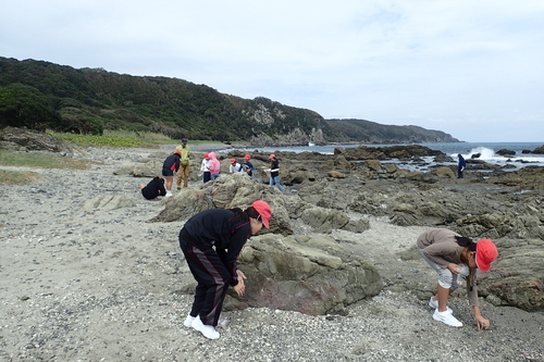 田代海岸で貝殻採集をする様子