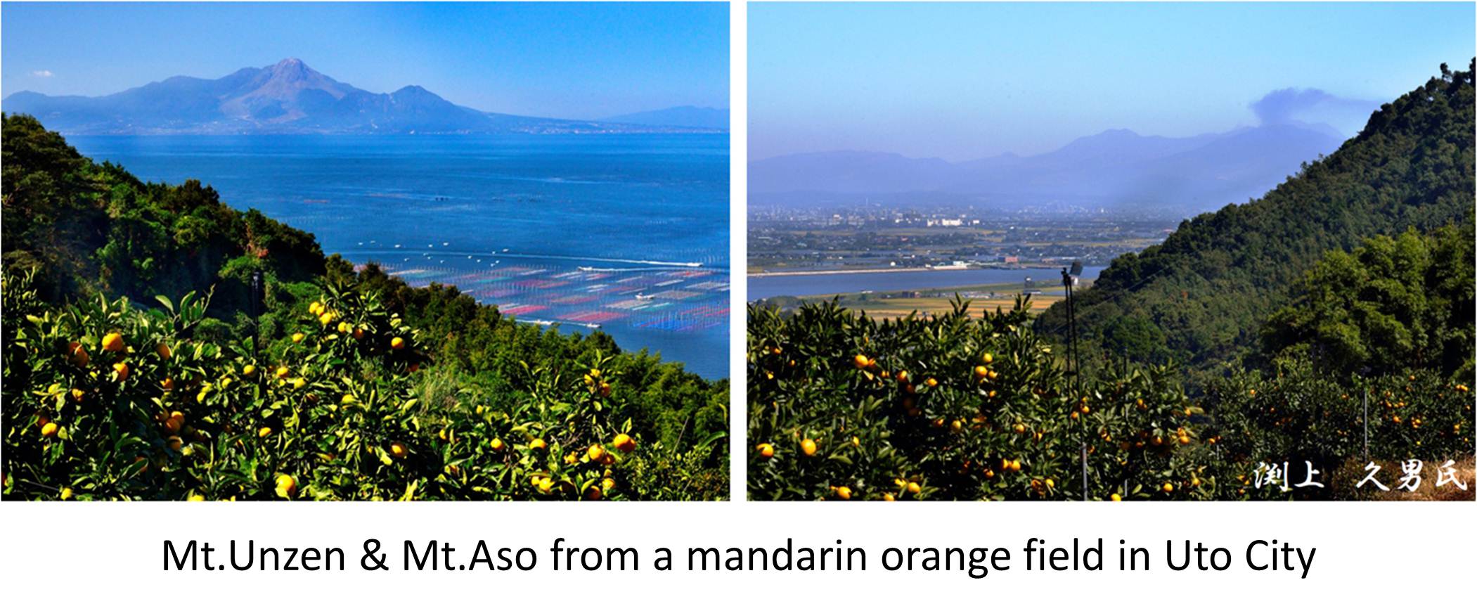 Mt.Unzen & Mt.Aso from a mandarin orange's field in Uto City