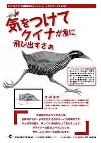 画像：気をつけて クイナが急に飛び出すさぁ [PDF 478KB]