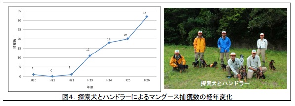 図4: 探索犬とハンドラーによるマングース捕獲数の経年変化